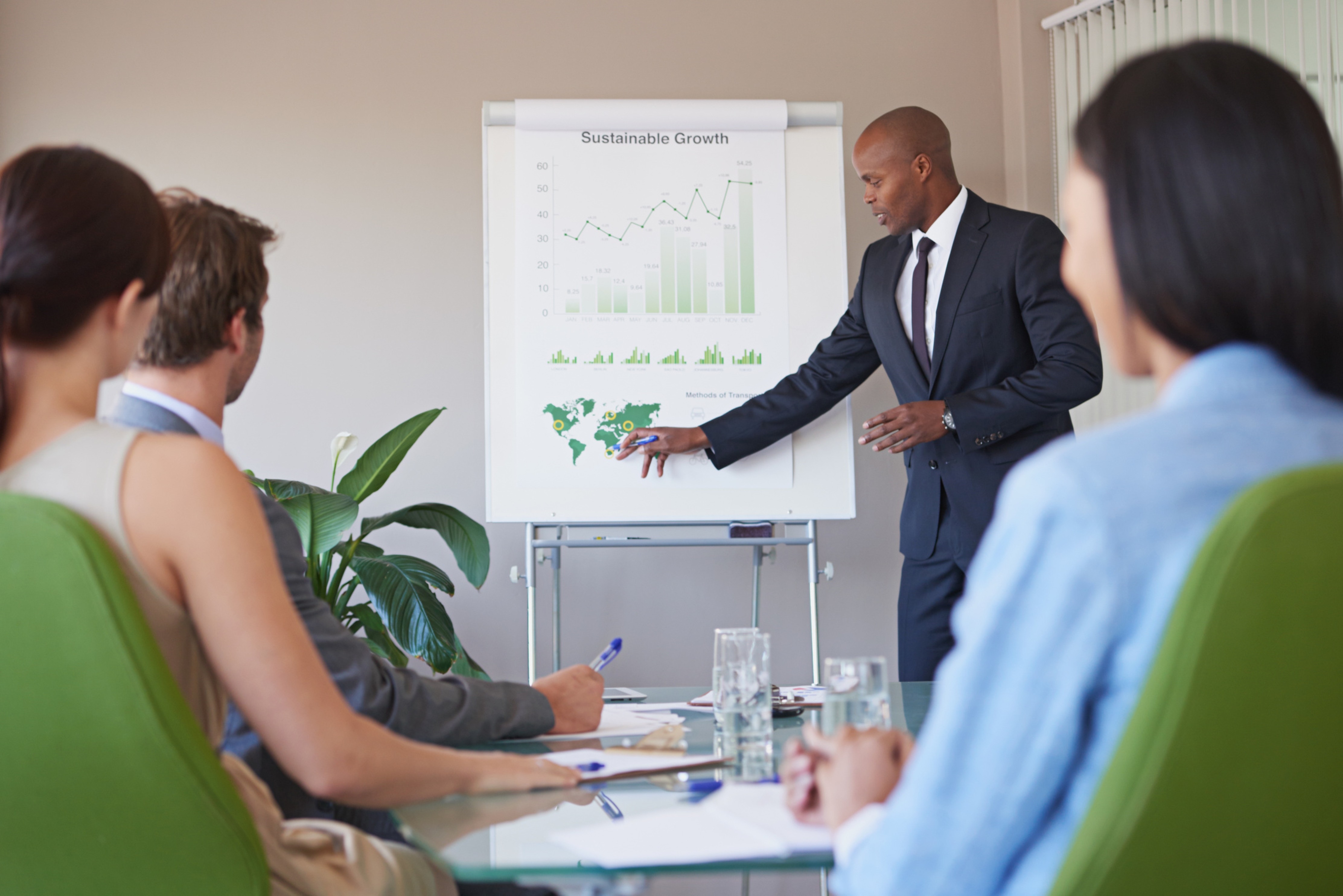 Training of Advisors for the Sustainability Initiative Implementation Advisory Program
